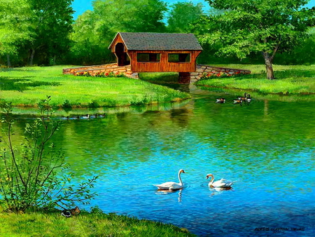 Swans and covered bridge - lake, swans, trees, peaceful, cover, water, calm, reflection, green, pond, bridge