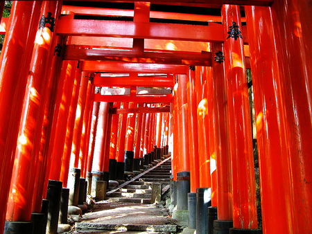 Fushimi Shrine - gate, shrine, torii, kyoto