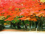 Nanzen-ji Sanmon