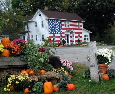 American Flag House - nature, trees, summer, house, grass