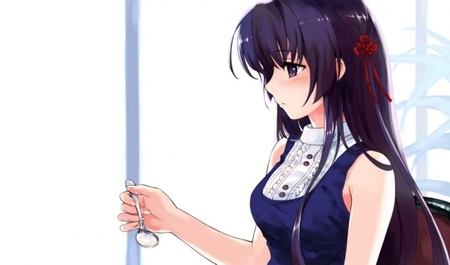 Koga Sayoko - spoon, anime, long hair, anime girl, dress