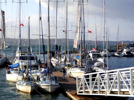 Sailboats - boats, sails, boat, bridge