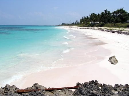 White White Sand - sand, sky, beach, ocean, nature