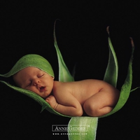 Anne Geddes' children