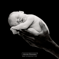 Anne Geddes' children