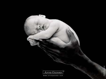 Anne Geddes' children