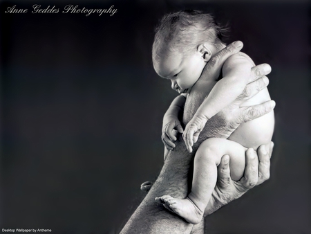 Anne Geddes' children - anne geddes, baby, child, funny