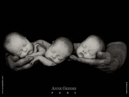 Anne Geddes' children - anne geddes, baby, child, funny