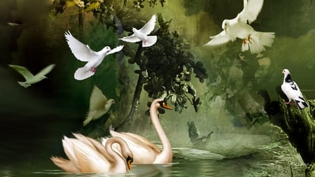 Peaceful Waters 2 - water, pond, flying, plant, tree, doves, flowers, swans, green, lake, peaceful