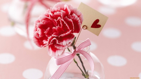 rose and love - love, pink, ribbons, heart