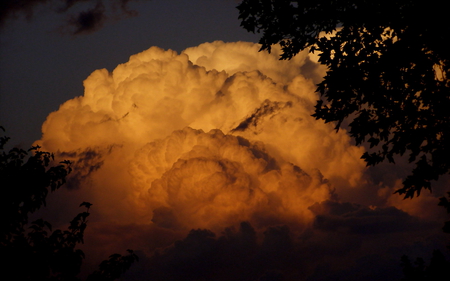 Colors of the setting sun - clouds, trees, sunset, nature, color, sun, sky