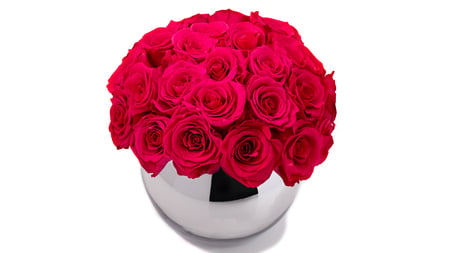 Show your Love - love, special, magnificent, passion, gift, roses, fashion, present, sphere, wonderful, entertainment, forever, floral, precios, red, birthday