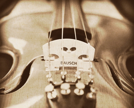 VIOLIN - sepia, photography, detail, music, violin, bw