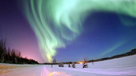 Scenic Northern Lights - snow, scenic, northern lights, sky