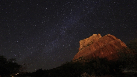 stars over desert - milky way, trees, stars, desert