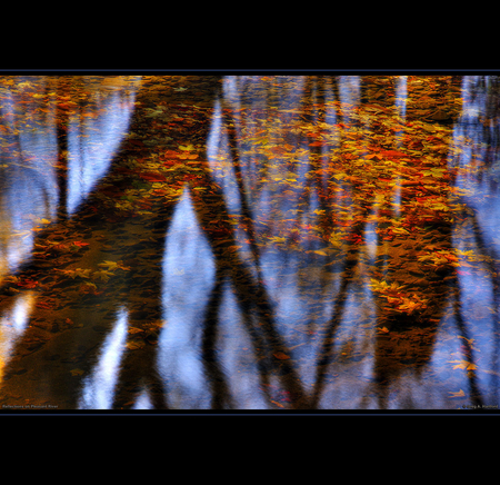 Autumn Leaves - leaves, autumn, pleasant, reflection