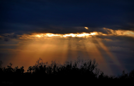 The sunshine is my quest ~â™¥~ - rays, sunshine, silhouette, clouds