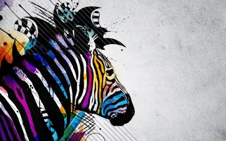 Coat of many colors - abstract, zebra, colors, bold