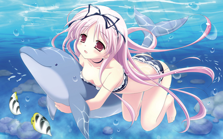 Swim - swim, girl, fish, anime, dolphine