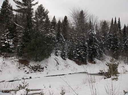 winter in industry, maine 1 - maine, sky, trees, snow, industry, winter