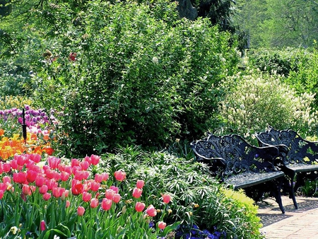 Sit down and enjoy..... - flowers, benches, garden, park