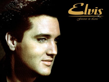 Elvis Presley - music, actor, elvis presley, singer, movie, man