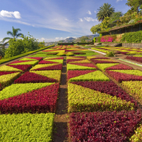 formal gardens,madeira potugal