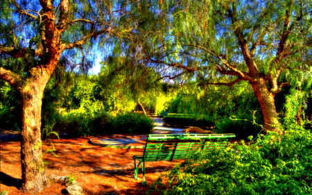 Peaceful Place - beauty, beach, sky, peaceful, path, view, pretty, clouds, summer time, green, grass, way, seat, park, summer, lovely, nature, beautiful, leaves, splendor