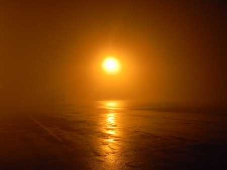 Foggy Night - lamp post, photography, foggy, night, light