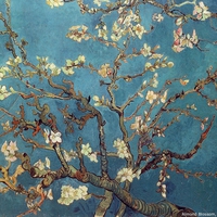 Vincent van Gogh - Almond Blossom