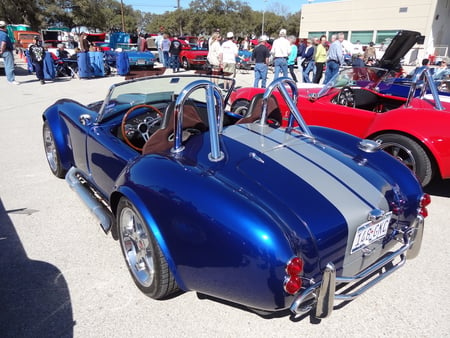 Shelby Cobra - cobra, shelby, shelby cobra, ford