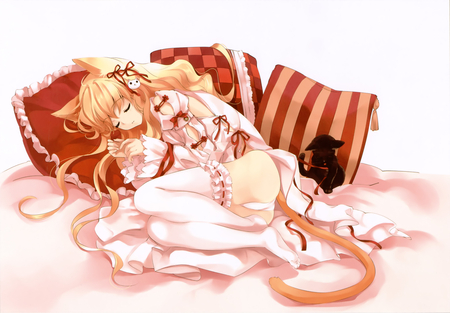 Neko - tail, beauty, neko, girl, long hair, pillows, ears, sleep, anime