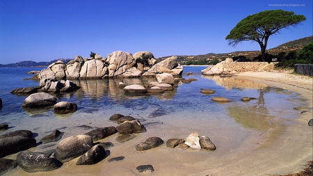 A place by the sea - trees, water, beach, beautiful, sea, rocks