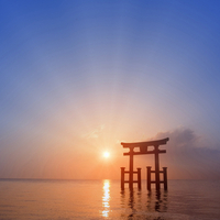 Torii Gate