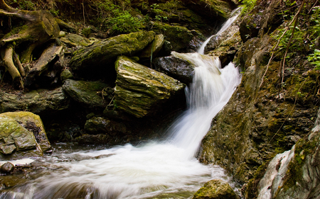 Flowing with nature - beautiful, stream, waterfall, water