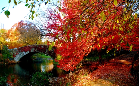 AUTUMN PARK - autumn, trees, river, city, park, leaves, bridge