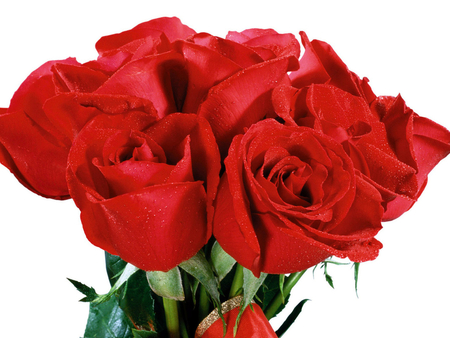 Red roses bouquet - red, flower, rose, bouquet, nature