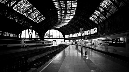 monochrome train station - tracks, trains, roof, station