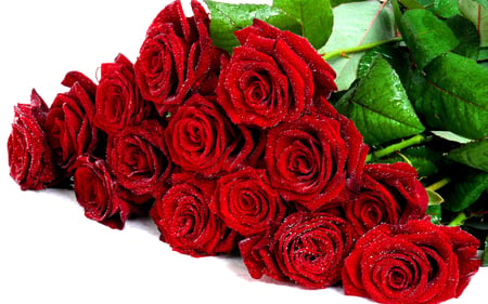 Love roses - nature, red, rose, love, flower