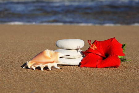 TRANQUILLITY - shell, stones, sand, flower