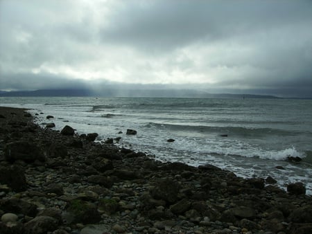 Rocky beach coastline - dull, rocky, beach, pacific northwest, gray