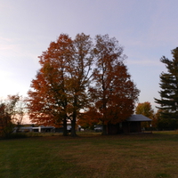 Early Fall Evening