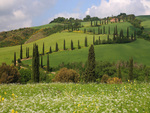 house on a hill