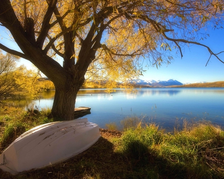 Lake Scenery - nature, lake, sun, tree, boat