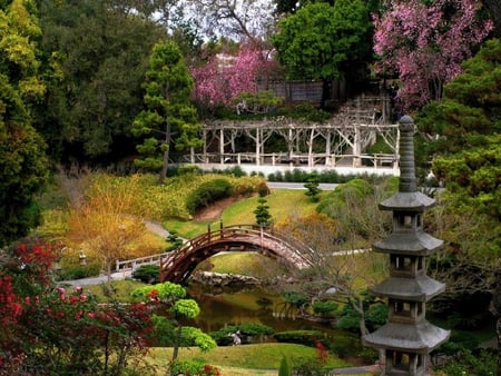 Japanese Garden - garden, spring, nature, japanese