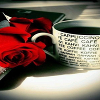 coffee & roses in the morning