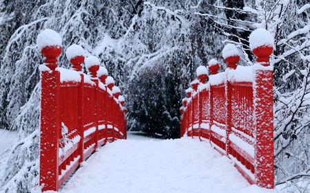 Snowy Red Bridge - nature, red, snow, winter, japanese, bridge, garden