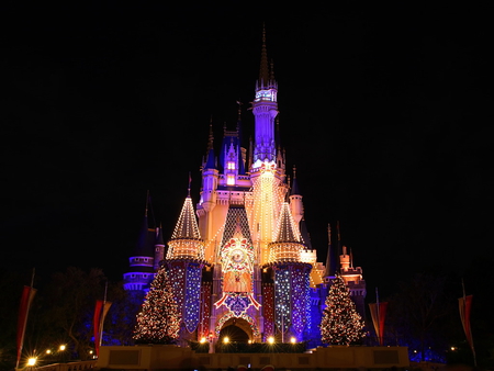 disney land - pretty, lights, disnet, xmas, castle