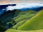 grassy hills