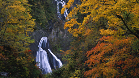 dual waterfalls - gorge, waterfalls, autumn, trees